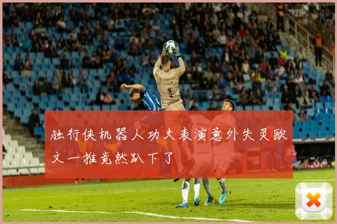独行侠机器人功夫表演意外失灵欧文一推竟然趴下了