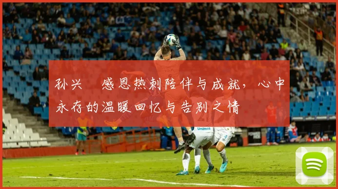 孙兴慜感恩热刺陪伴与成就，心中永存的温暖回忆与告别之情